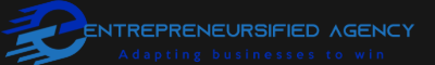 Entrepreneursified agency